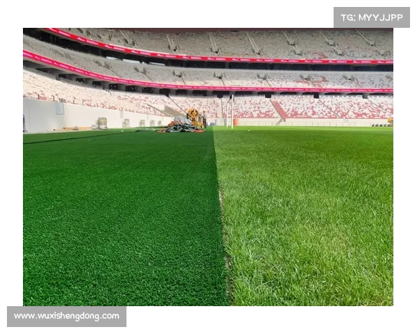 国际大体联考察大连场馆 训练场草皮符合FIFA Pro级标准