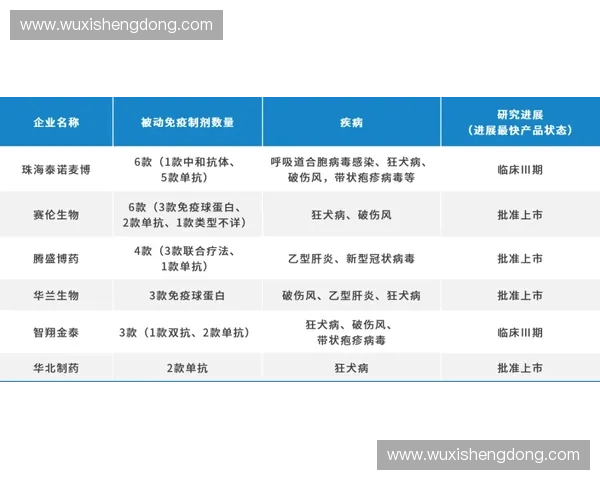 2027年前后基于生物识别的门票绑定技术或将主导大型洲际赛事的入场秩序