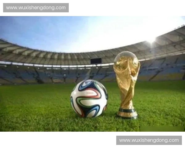 2026年6月世界杯期间,如何通过统一支付接口缩短赞助商资金回笼周期? 2026年6月世界杯期间,如何通过统一支付接口缩短赞助商资金回笼周期?